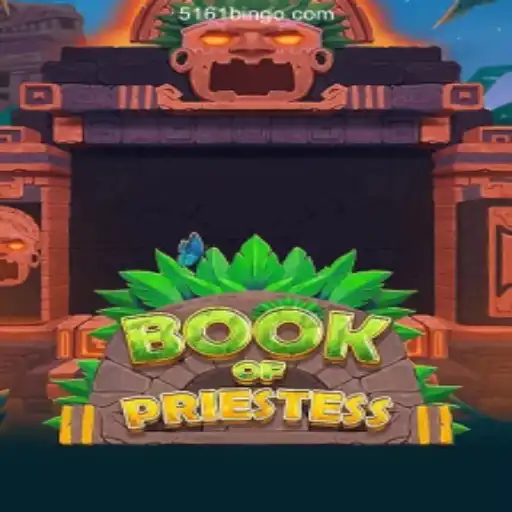 Exploring the Enchantment of BookOfPriestess