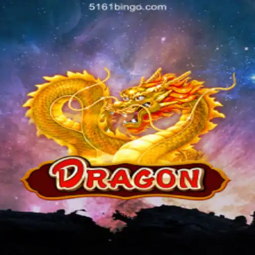 Explore the Thrilling World of Dragon
